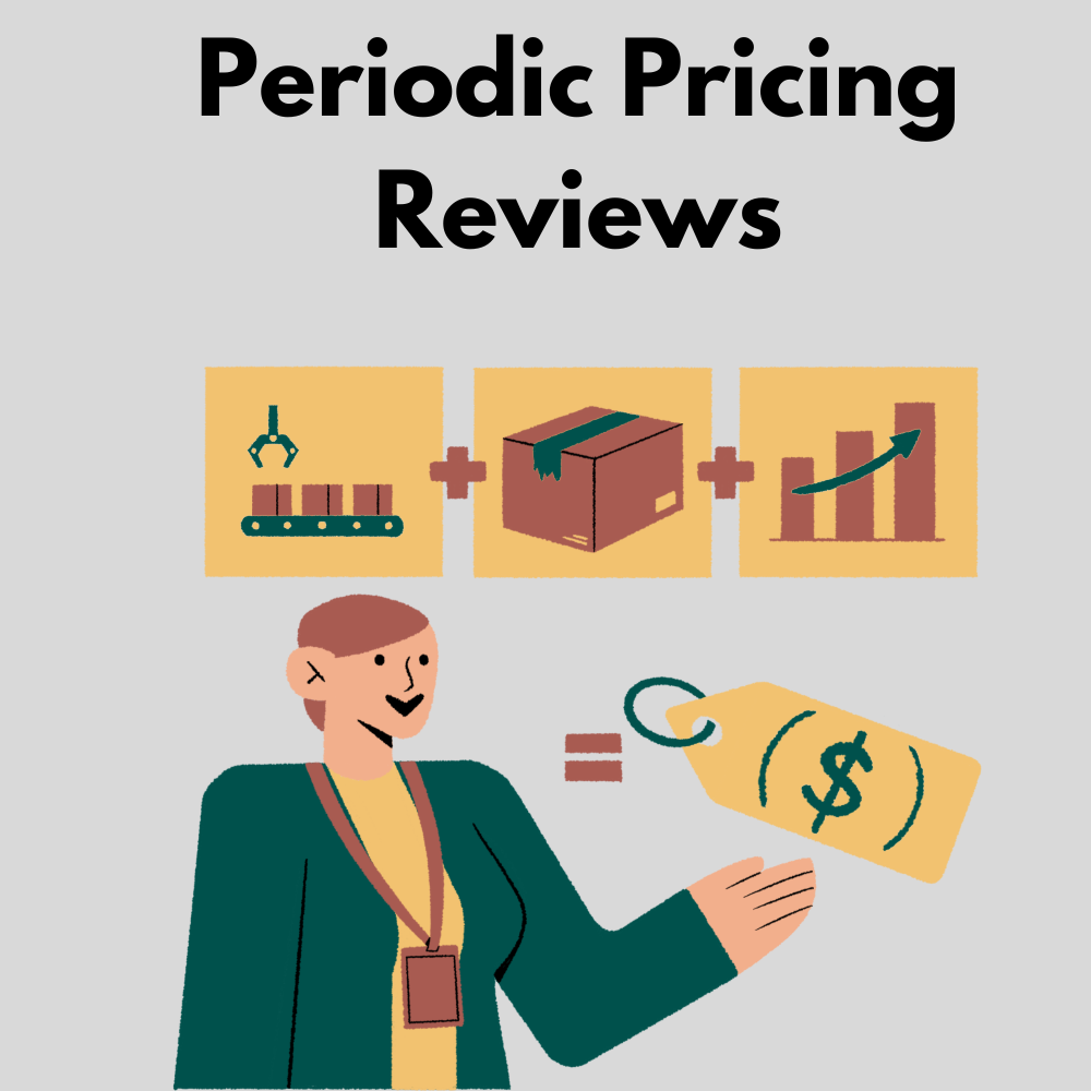 Periodic-Pricing-Reviews