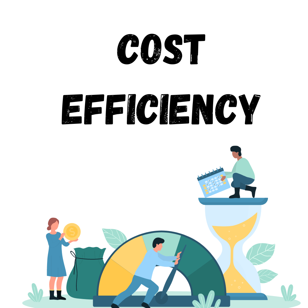 Cost-Efficiency