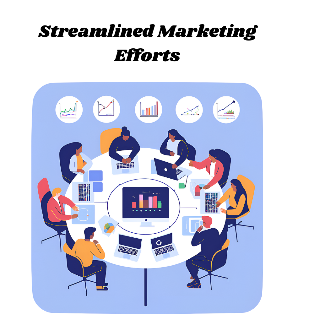 Streamlined-Marketing-Efforts